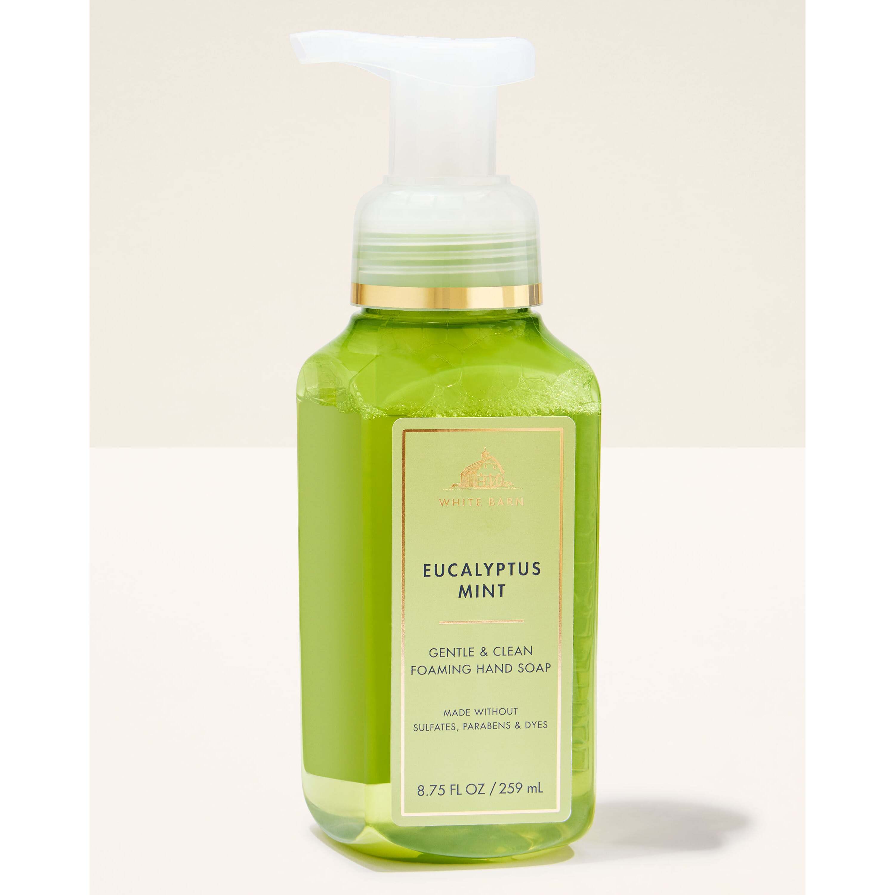 Eucalyptus Mint Gentle & Clean Foaming Hand Soap