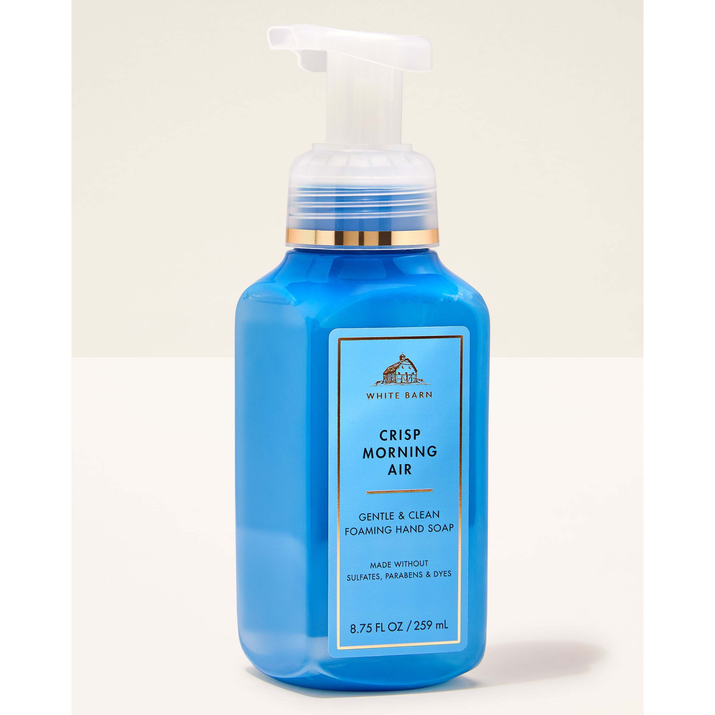 Crisp Morning Air Gentle & Clean Foaming Hand Soap