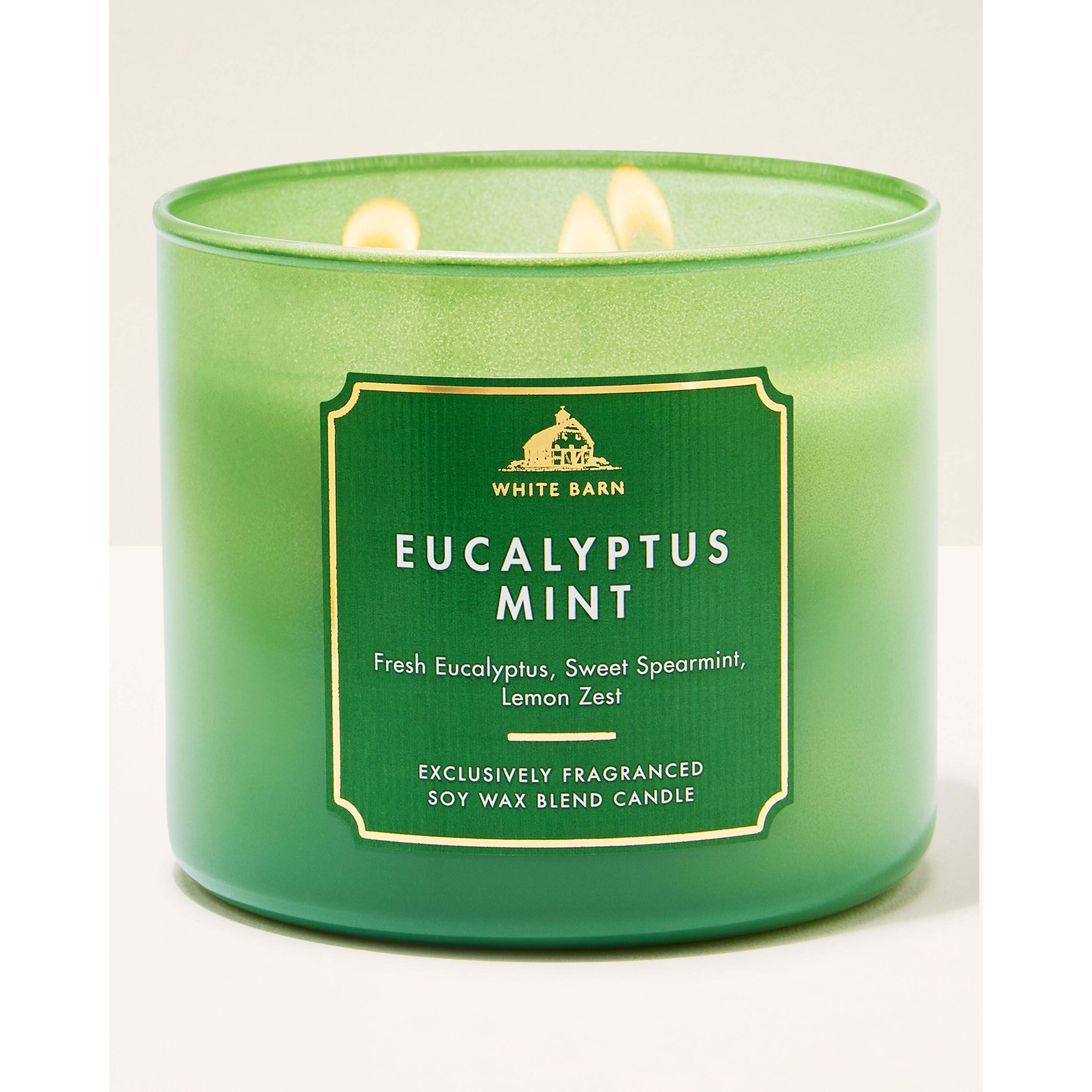 Eucalyptus Mint 3-Wick Candle